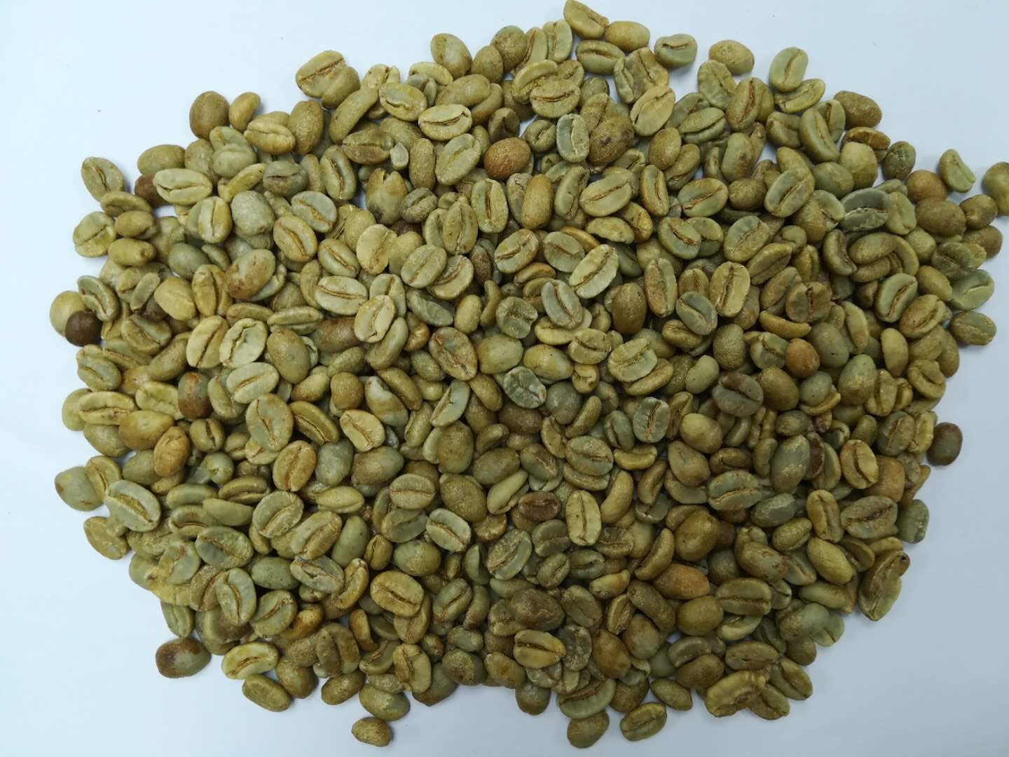 多瑙河莊園生豆圖.jpg 多瑙河莊園生豆圖.jpg