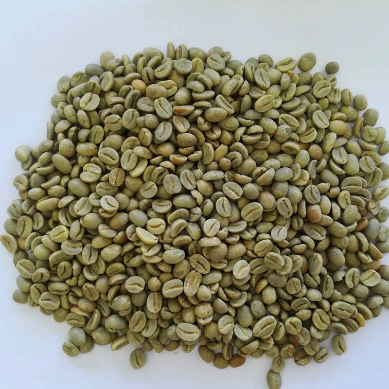 黃波旁 生豆圖.jpg