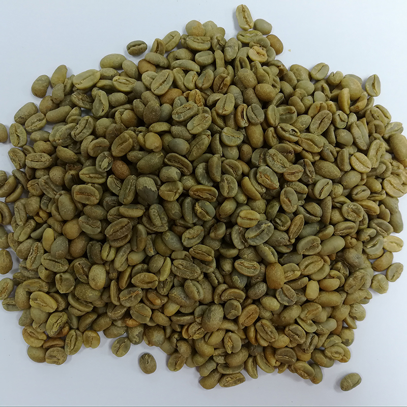 蘇丹汝美 生豆圖.jpg 蘇丹汝美 生豆圖.jpg