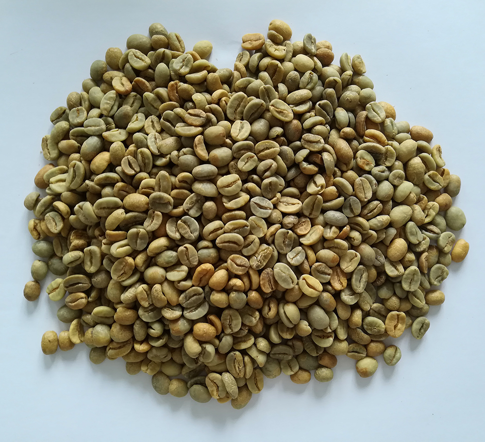 72小時 生豆圖.jpg 72小時 生豆圖.jpg