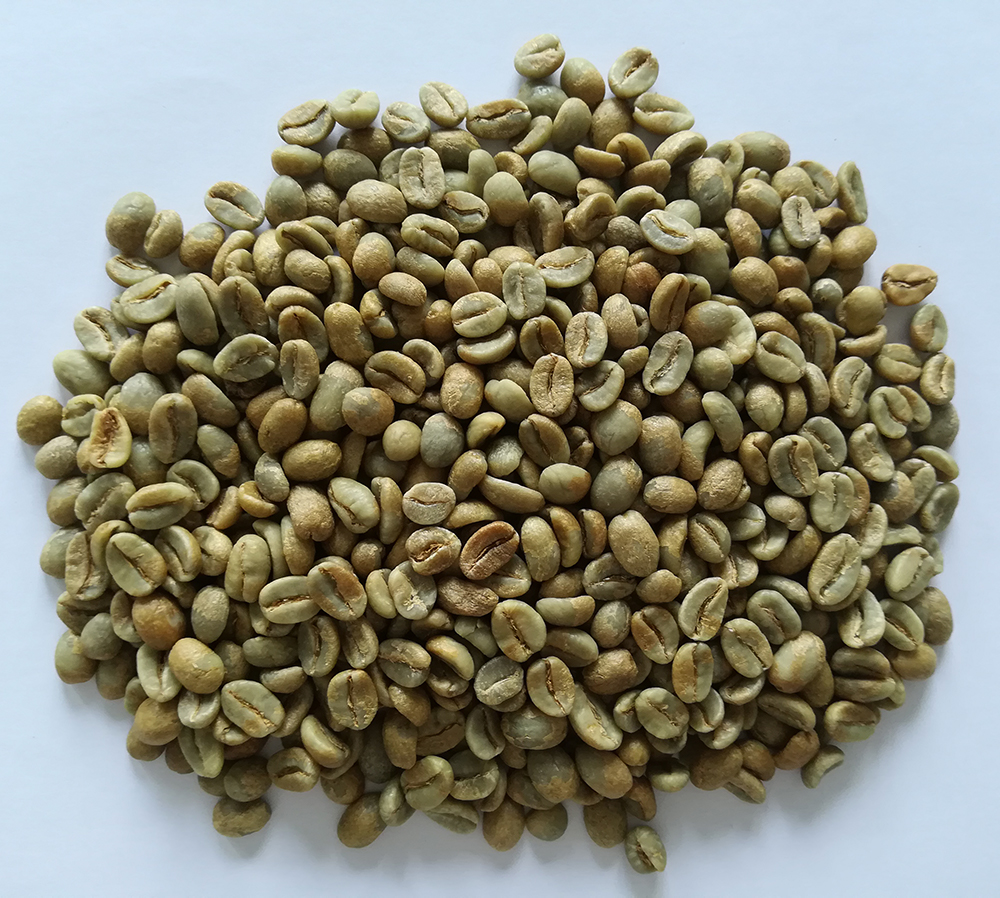 雙幽夢影莊園 240小時 生豆圖.jpg