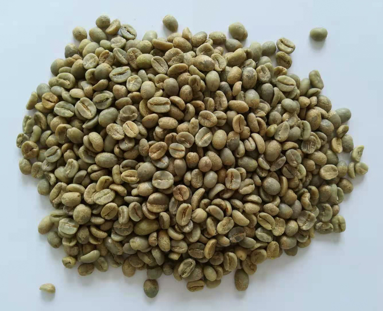 雙幽夢影莊園 120小時 生豆圖.jpg