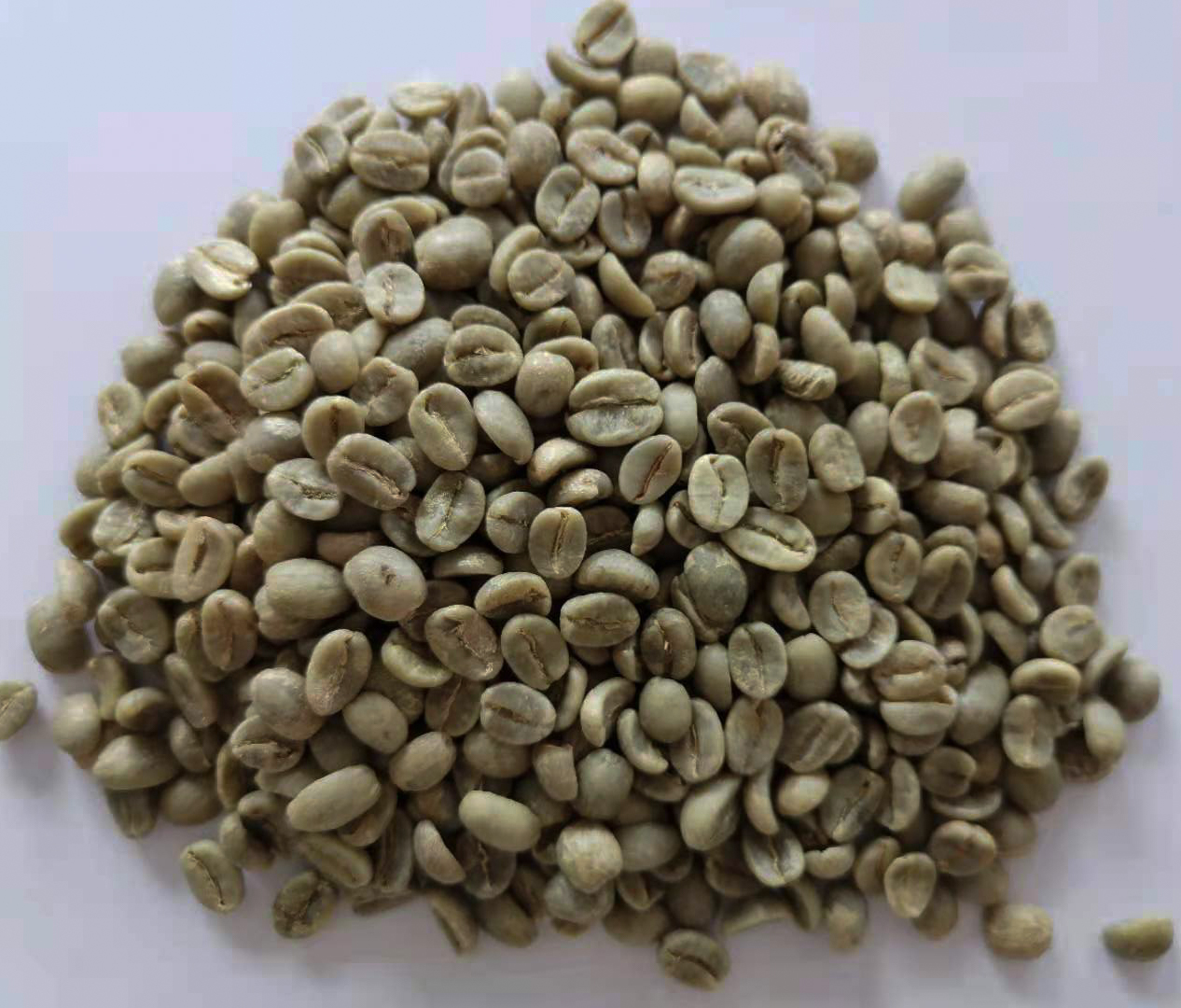 生豆圖.jpg 生豆圖.jpg