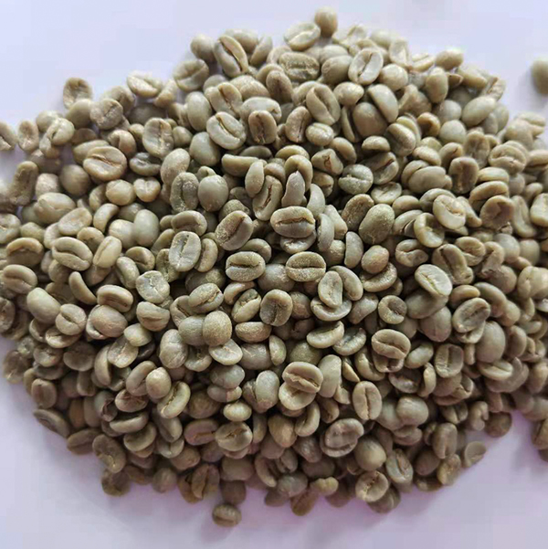 生豆.jpg 生豆.jpg