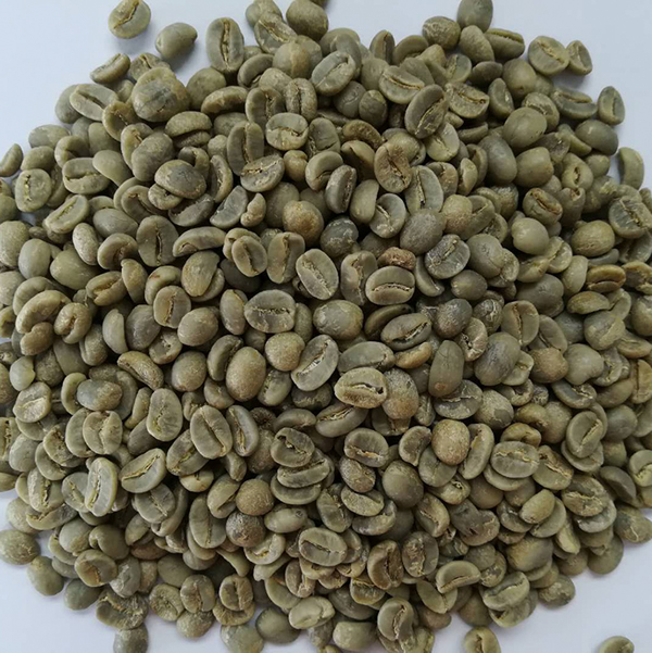 生豆.jpg 生豆.jpg