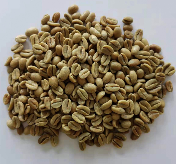 生豆圖.jpg 生豆圖.jpg