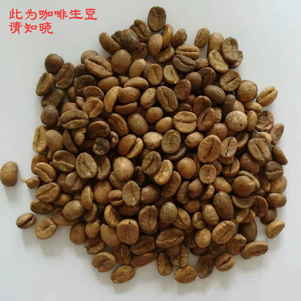 生豆.jpg 生豆.jpg