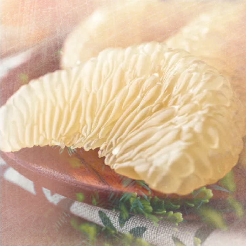 2020.8.17 哈圖莓村 水洗-08.jpg 2020.8.17 哈圖莓村 水洗-08.jpg