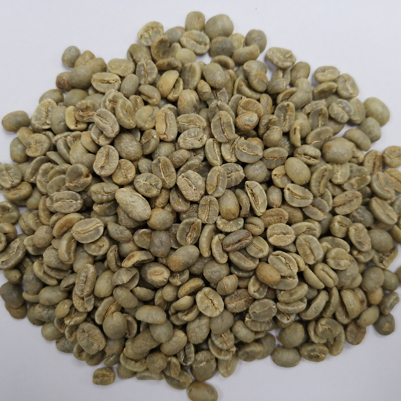 生豆圖.jpg 生豆圖.jpg